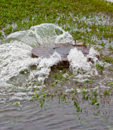 Sewage flooding