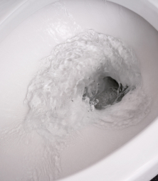 Toilets seat